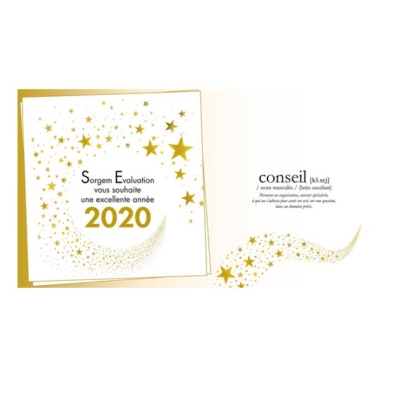 Sorgem Evaluation vous souhaite une bonne année 2020