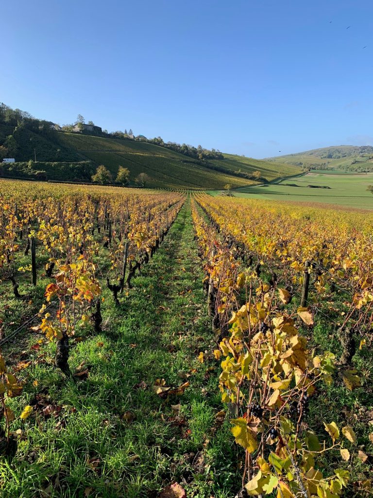 SORGEM Evaluation est intervenue en tant qu’expert financier pour évaluer la participation d’un actionnaire et distributeur nord-américain d’une grande entreprise viticole française